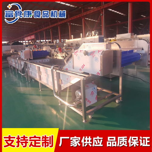竹筍翻浪清洗機(jī) 諸城市富食康食品機(jī)械 竹筍翻浪清洗機(jī)生產(chǎn)商