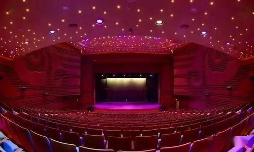 舞動(dòng)2020 海外桃李杯國(guó)際舞蹈展演 報(bào)名進(jìn)行中